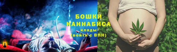 PSILOCYBIN Алексин