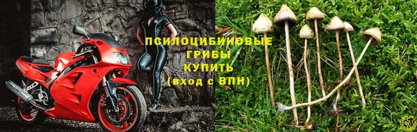 PSILOCYBIN Алексин