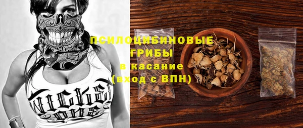 PSILOCYBIN Алексин