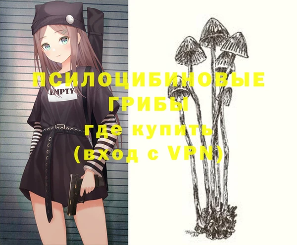 PSILOCYBIN Алексин
